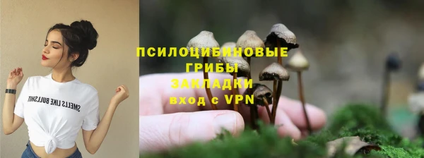 крисы Арсеньев