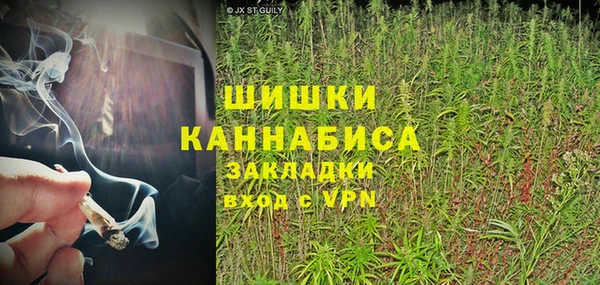 таблы Богородицк