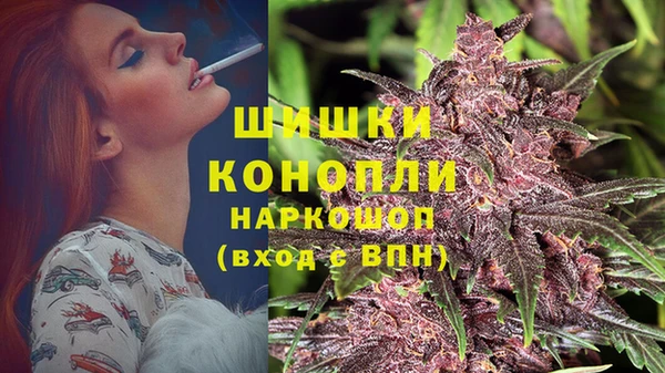 крисы Арсеньев