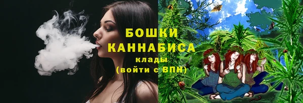 крисы Арсеньев