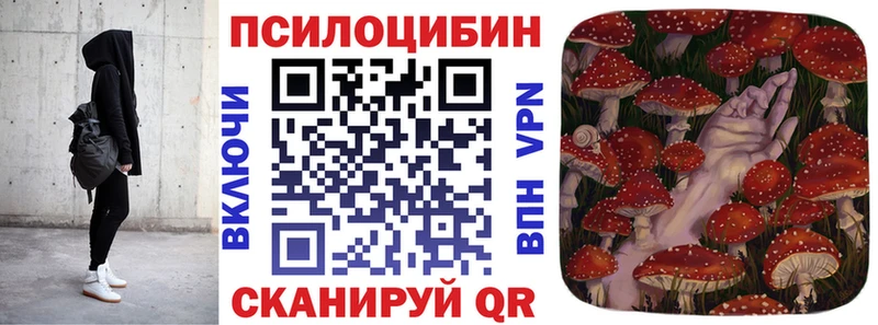 где купить наркоту  Ахтырский  Галлюциногенные грибы Magic Shrooms 